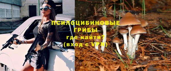 дурь Арсеньев