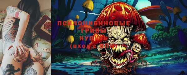 бошки Абаза
